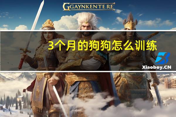 3个月的狗狗怎么训练