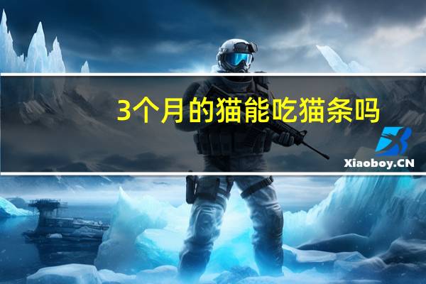 3个月的猫能吃猫条吗