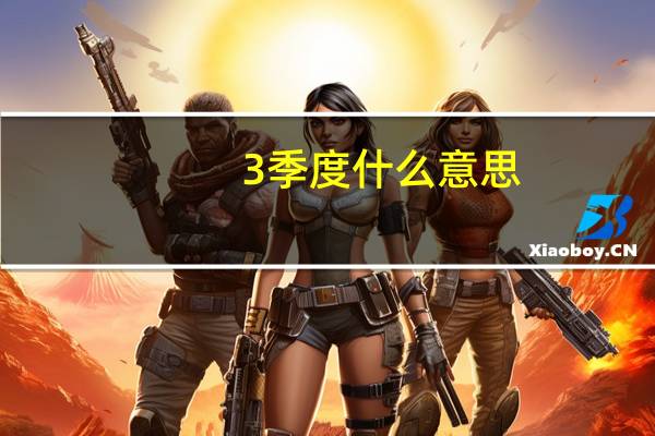 3季度什么意思