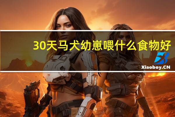 30天马犬幼崽喂什么食物好