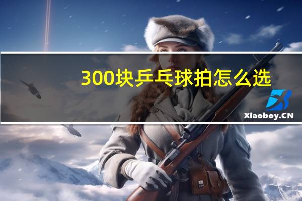 300块乒乓球拍怎么选