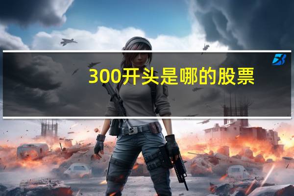 300开头是哪的股票