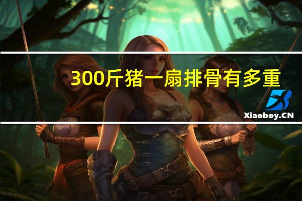 300斤猪一扇排骨有多重
