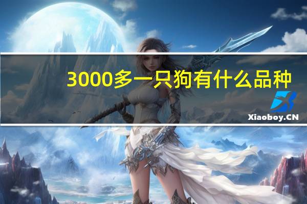 3000多一只狗有什么品种