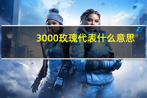 3000玫瑰代表什么意思