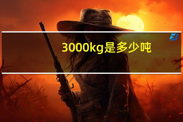 3000kg是多少吨（3000k）