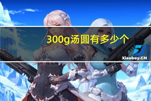 300g汤圆有多少个