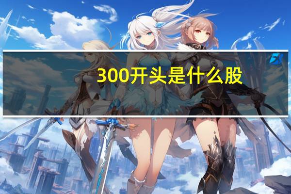 300开头是什么股