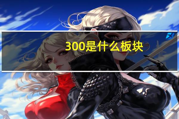300是什么板块