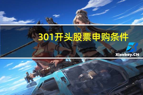 301开头股票申购条件