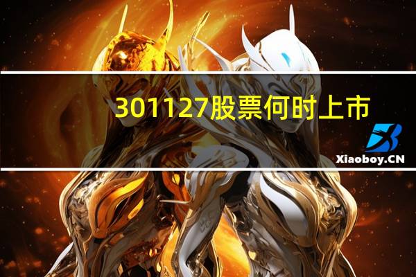 301127股票何时上市
