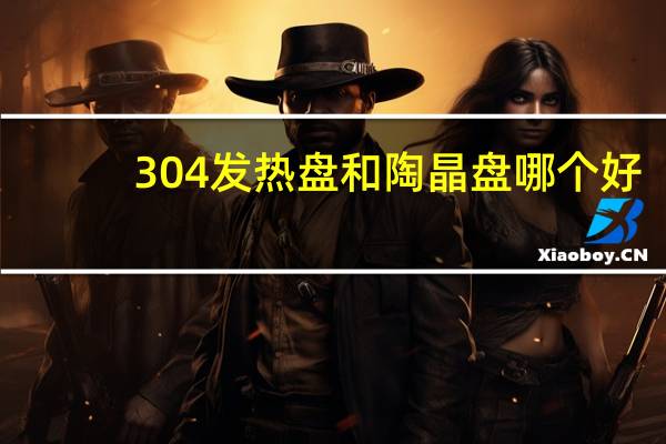 304发热盘和陶晶盘哪个好