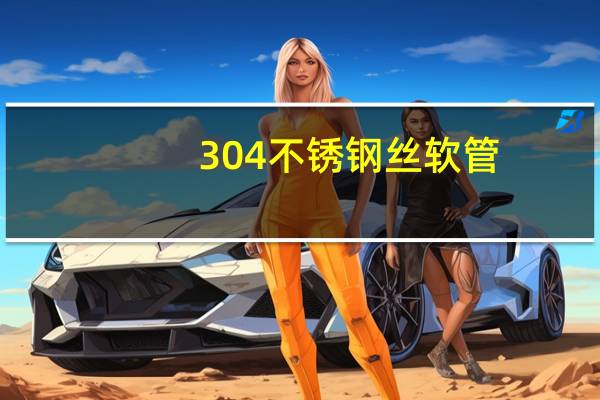 304不锈钢丝软管(304不锈钢丝)