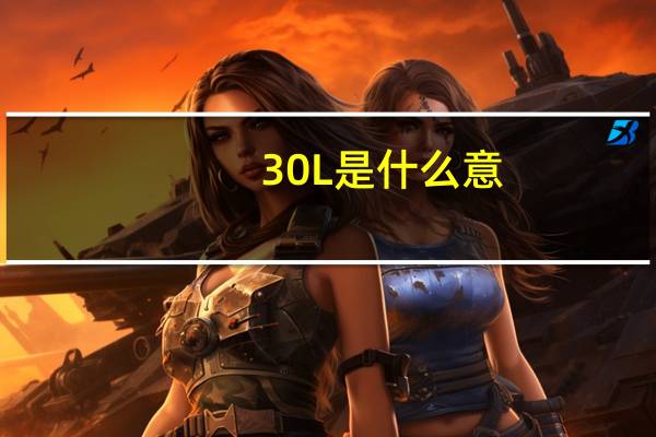 30L是什么意