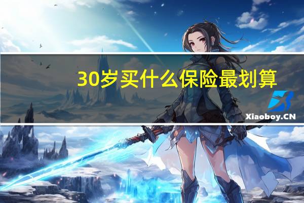 30岁买什么保险最划算