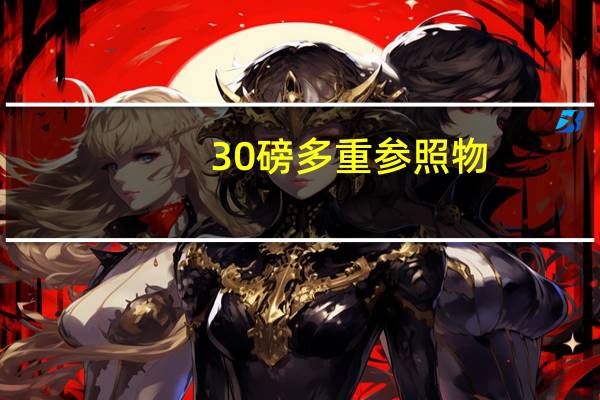 30磅多重参照物