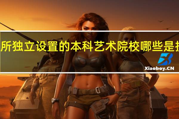 31所独立设置的本科艺术院校哪些是按综合分