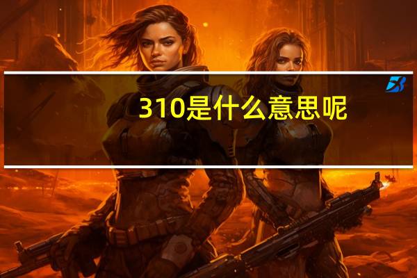 310是什么意思呢（310是什么意思）