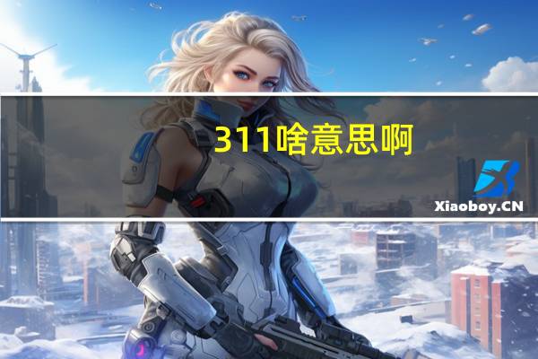311啥意思啊