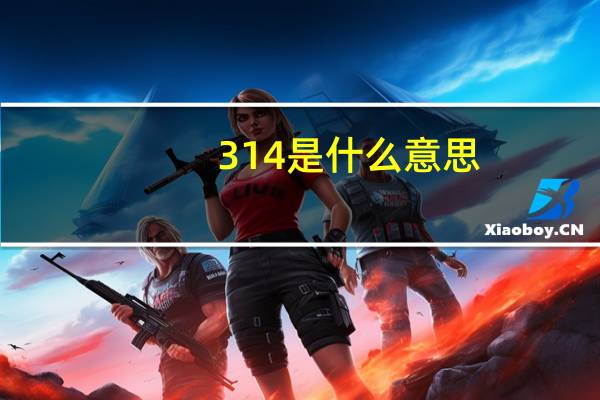 314是什么意思