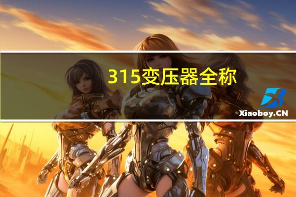 315变压器全称