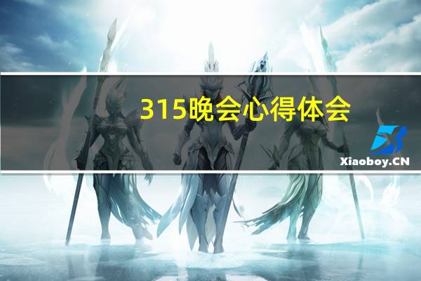 315晚会心得体会