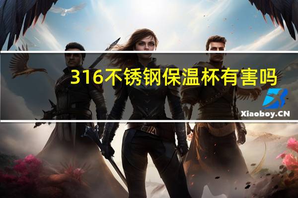 316不锈钢保温杯有害吗