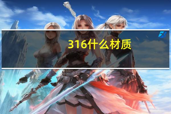 316什么材质