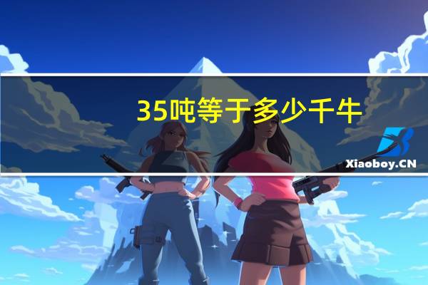 35吨等于多少千牛