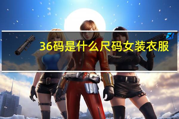 36码是什么尺码女装衣服