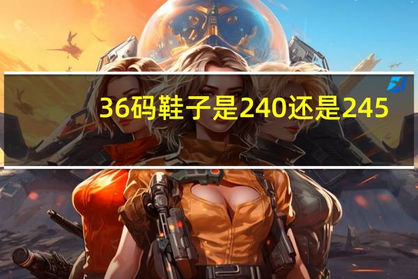 36码鞋子是240还是245