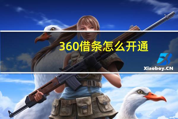360借条怎么开通