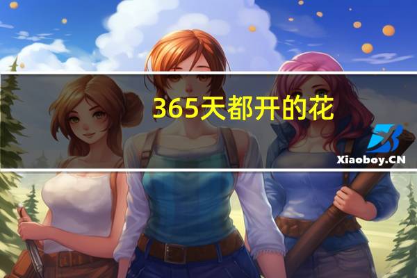 365天都开的花