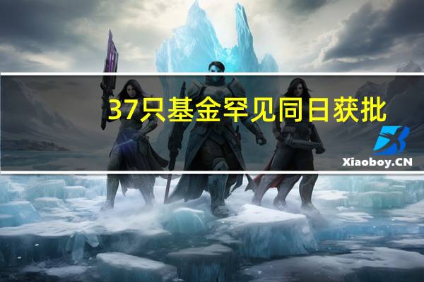 37只基金罕见同日获批