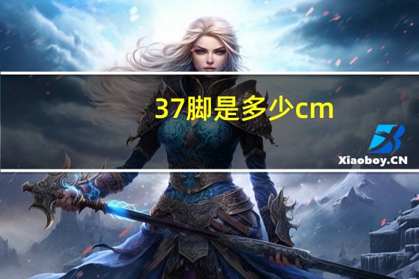37脚是多少cm
