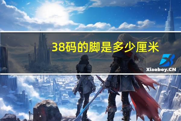 38码的脚是多少厘米