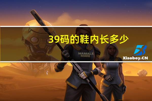39码的鞋内长多少