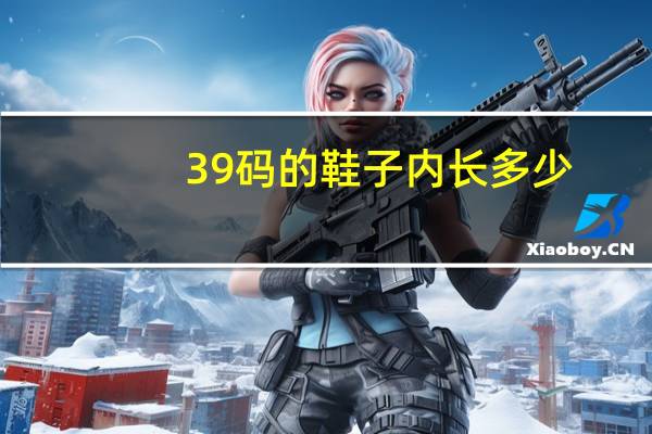 39码的鞋子内长多少