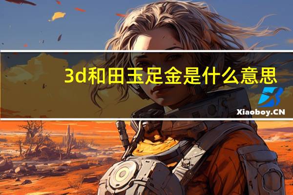 3d和田玉足金是什么意思