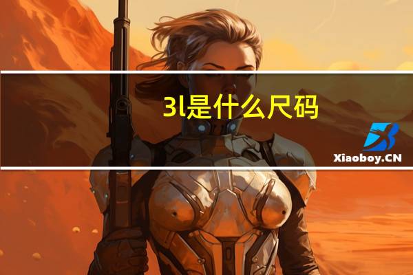 3l是什么尺码