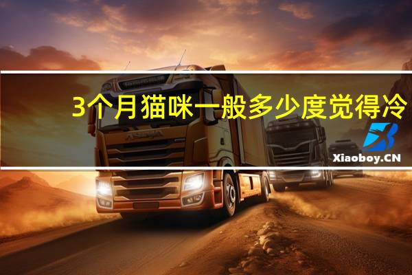 3个月猫咪一般多少度觉得冷