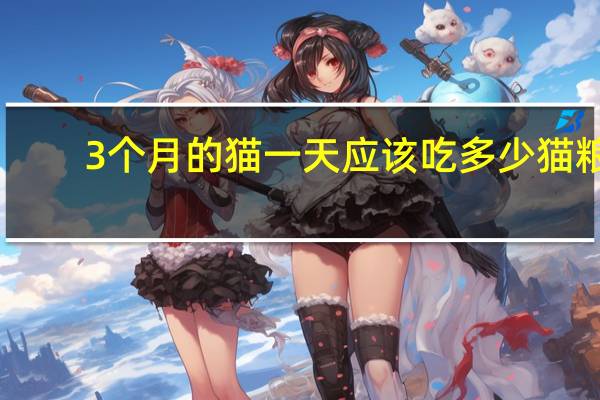 3个月的猫一天应该吃多少猫粮