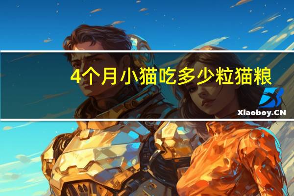 4个月小猫吃多少粒猫粮