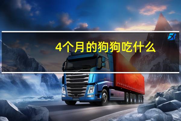 4个月的狗狗吃什么
