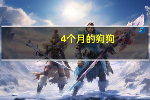 4个月的狗狗
