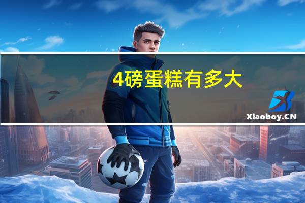 4磅蛋糕有多大