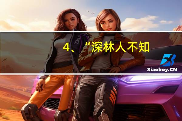 4、“深林人不知,明月来相照”修辞,有何作用