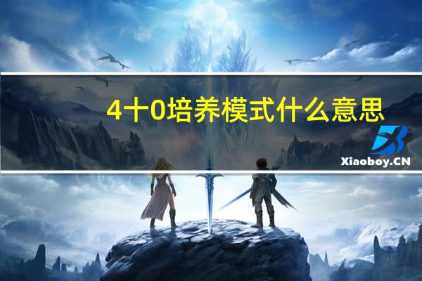 4十0培养模式什么意思
