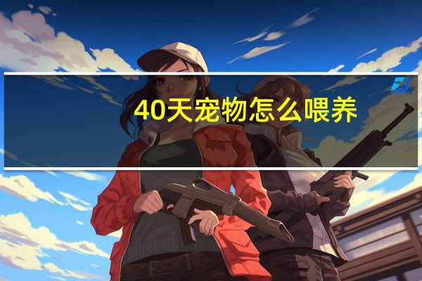 40天宠物怎么喂养