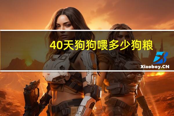 40天狗狗喂多少狗粮